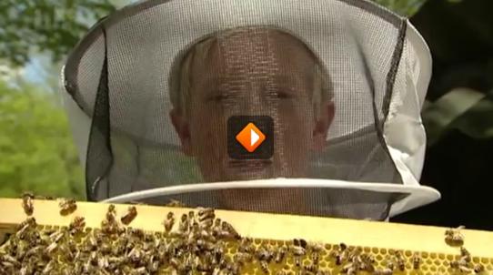 thumbnail - Bijen - Nuttige diertjes